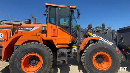 Wheel loader Doosan DL250-5 - 1