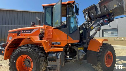 Wheel loader Doosan DL250-5 - 5